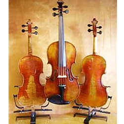 Purchase a student violin, intermediate and advanced violin, vintage violin, fine violin, or an electric violin