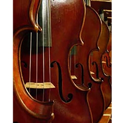 Browse Violin Outlet's violas