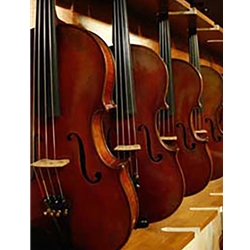 Shop Violin Outlet's Intermediate and Advanced Violas