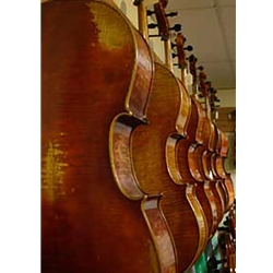 Shop Intermediate and Advanced Cellos