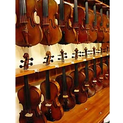 Browse Violin Outlet's intermediate and advanced violins availabe to buy including 4/4 violins, 3/ 4 violins, 1/2 violins, 1/4 violins, 1/8 violins, 1/10 violins, and 1/16 violins