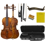 Shop the Clara Schmidt 500 Viola Outfit Internet Special at Violin Outlet