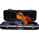 Shop Eastman 80 Violin Outfit at VIolin Outlet