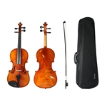 Shop Eastman 100 Violin Outfit at VIolin Outlet