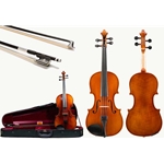 Shop Eastman 100 violas at Violin Outlet