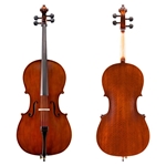 Shop Eastman 95 Cello Outfit at Violin Outlet