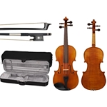 Shop Clara Schmidt 150 violin outfit at VIolin Outlet