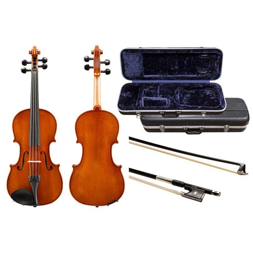 Eastman 80 Violin Outfit - VIOLIN OUTLET