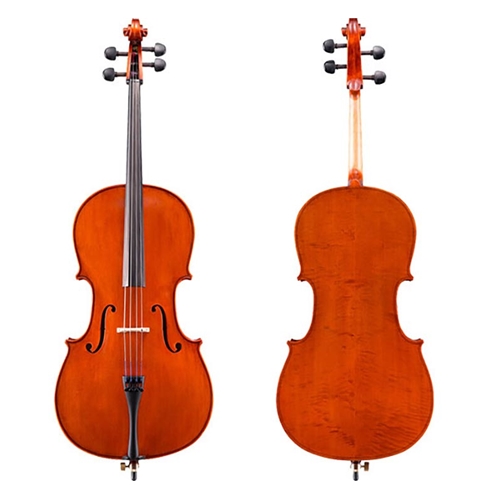 Eastman 100 Cello Outfit - VIOLIN OUTLET