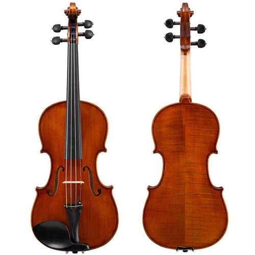 良品】Andreas Eastman バイオリン VL80 1/2サイズ - メルカリ