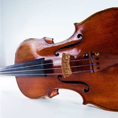 Peter Infeld Violin String Set - VIOLIN OUTLET