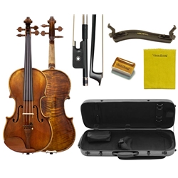 Shop the Clara Schmidt 500 Viola Outfit Internet Special at Violin Outlet