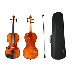 Eastman 100 Violin Outfit - VIOLIN OUTLET