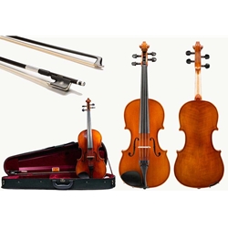 Shop Eastman 100 violas at Violin Outlet