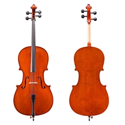 Shop Eastman 100 Cello Outfit at Violin Outlet
