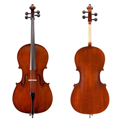 Shop Eastman 95 Cello Outfit at Violin Outlet