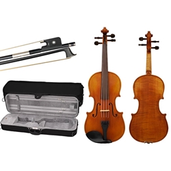 Shop Clara Schmidt 150 Viola Outfit at Violin Outlet