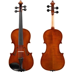 Shop for the Eastman 210 violin outfit at Violin Outlet.
