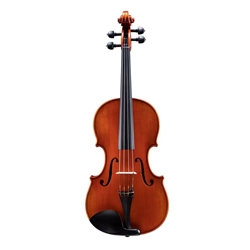 Shop the Eastman 210 Viola Outfit - Violin Outlet at Violin Outlet.