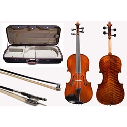 Shop Eastman 305 VIola Outfit at Violin Outlet