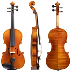 Shop Cadoni 100 Violin Outfit at Violin Outlet